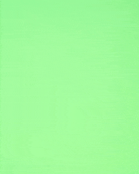 Animation Yes GIF by linastopmotion