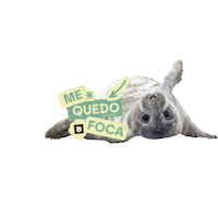 Animallover Sticker by Nubika Formacion
