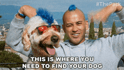 The Pack Dogs GIF by Amazon Prime Video