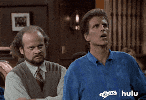 oh my god omg GIF by HULU