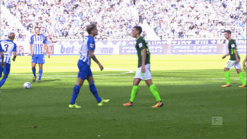 whats up rumble GIF by Hertha BSC