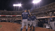 High Five Major League Baseball GIF by MLB