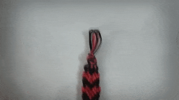 AprendacomEdu love amor friendship diy GIF