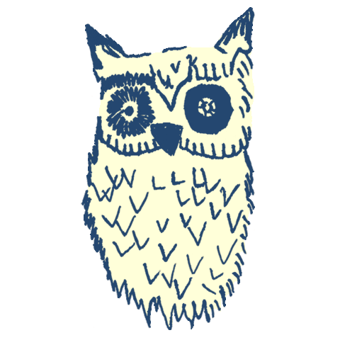 bird owl Sticker by Soft Gallery