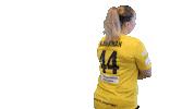 Floorball Salibandy Sticker by F-liiga