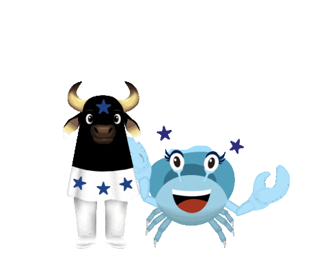 Caprichoso Sticker by Fora da Toca