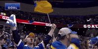 st louis sport GIF by St. Louis Blues