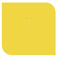 Truejoy GIF by Dulux Indonesia