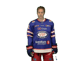 Hele Jordal Sticker by VIF Hockey