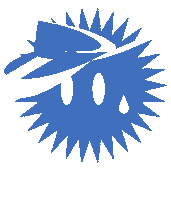 STEIBISONNE sommer sonne winterthur visor Sticker