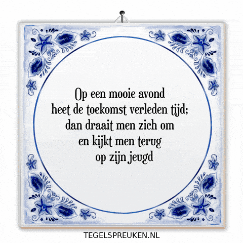 Humor Nl GIF by Tegelspreuken.nl