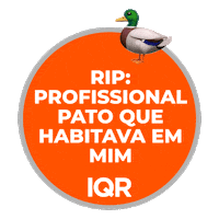 InstitutoQR iqr quebre as regras instituto qr profissional pato Sticker