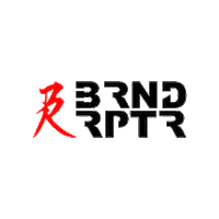 BrandRaptor photography videography brlogo brndrptr Sticker