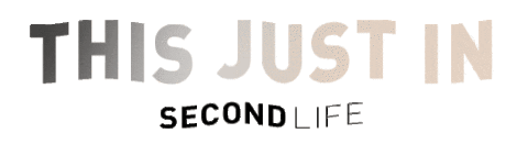 This Just In Second Life Sticker by Who What Wear