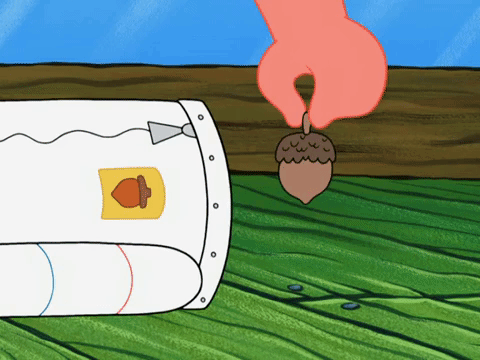 season 8 bubble troubles GIF by SpongeBob SquarePants