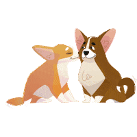 Fellbox box danke hunde überraschung Sticker