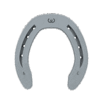 WerkmanHoofcare tools horseshoe farrier hufeisen Sticker