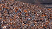 World Cup Football GIF by DAZN