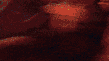 Dance Summer GIF by Polyvinyl Records