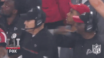 atlanta falcons football GIF by NFL