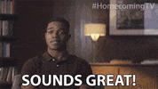 Homecoming Tv GIF by Amazon Prime Video