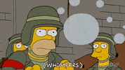 Episode 5 GIF by The Simpsons