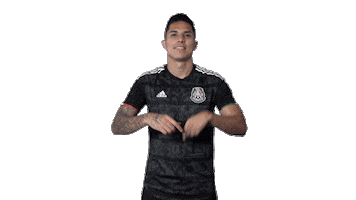 mexico national team football Sticker by MiSelecciónMX