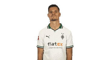 Borussia Monchengladbach Yes Sticker by Bundesliga