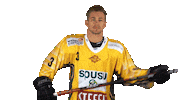 Vienna_Capitals hockey eishockey bauer ebel Sticker