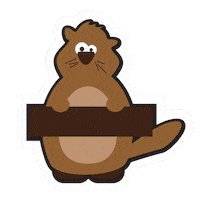 employer-branding-allegro allegro dobrzetubyć allegrodobrzetubyć karierawallegro Sticker