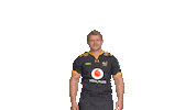 Rugby Sticker by Wasps