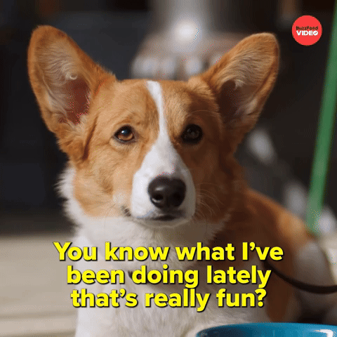 Know what's really fun?