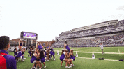 Football College GIF by James Madison University