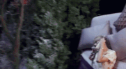 taylor swift GIF