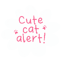 Cat Sticker
