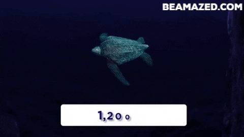 Momotaj giphygifmaker hainosaurus GIF