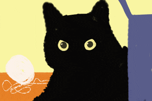 Cats Seriously GIF