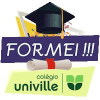 Colegio Sticker by Univille