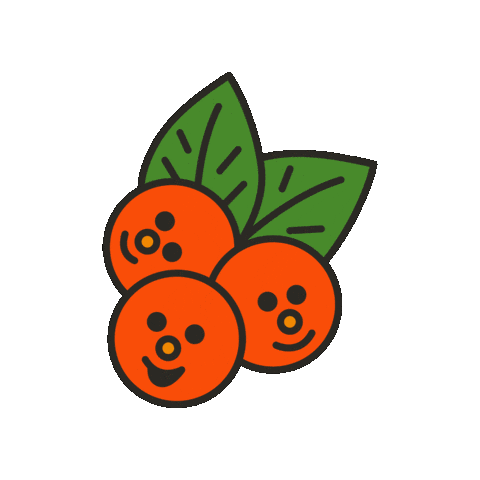 maevechocolate giphygifmaker fruit berries maeve Sticker