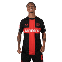 Bayer 04 Love Sticker by Bayer 04 Leverkusen