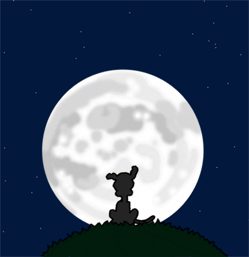 Cartoon gif. Chippy the dog sitting on a hill, silhouetted by a big full moon. A heart appears over his head, and then a speech bubble that says "howl!"