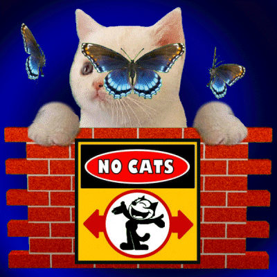 Ban Cats GIF