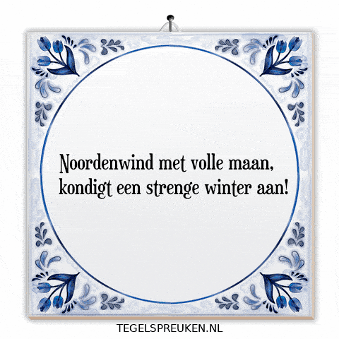 Humor Nl GIF by Tegelspreuken.nl