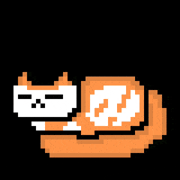 eynmaginaire cat ginger ollie olliethecat GIF