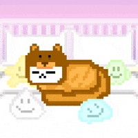 eynmaginaire cat ginger ollie ollie the cat GIF