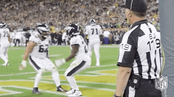 Philadelphia Eagles Football GIF by NFL
