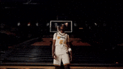 Ncaa Basketball GIF by Mizzou Athletics