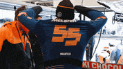 Lando Norris GIF by McLaren