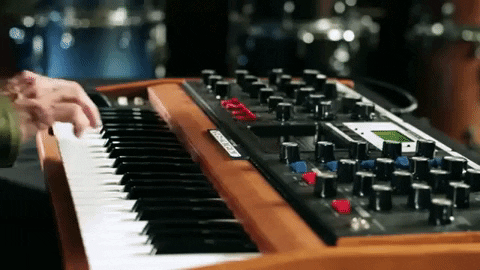 evolutionmusicru giphygifmaker GIF