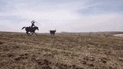 kansas GIF